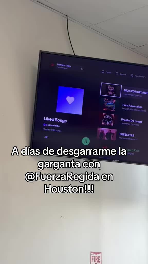 @Kaarina Treviño