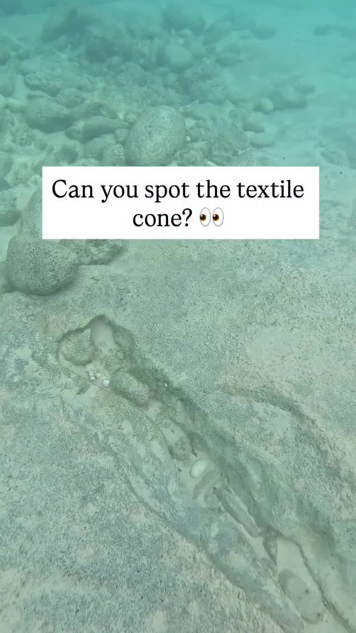@Treasure Hawaii