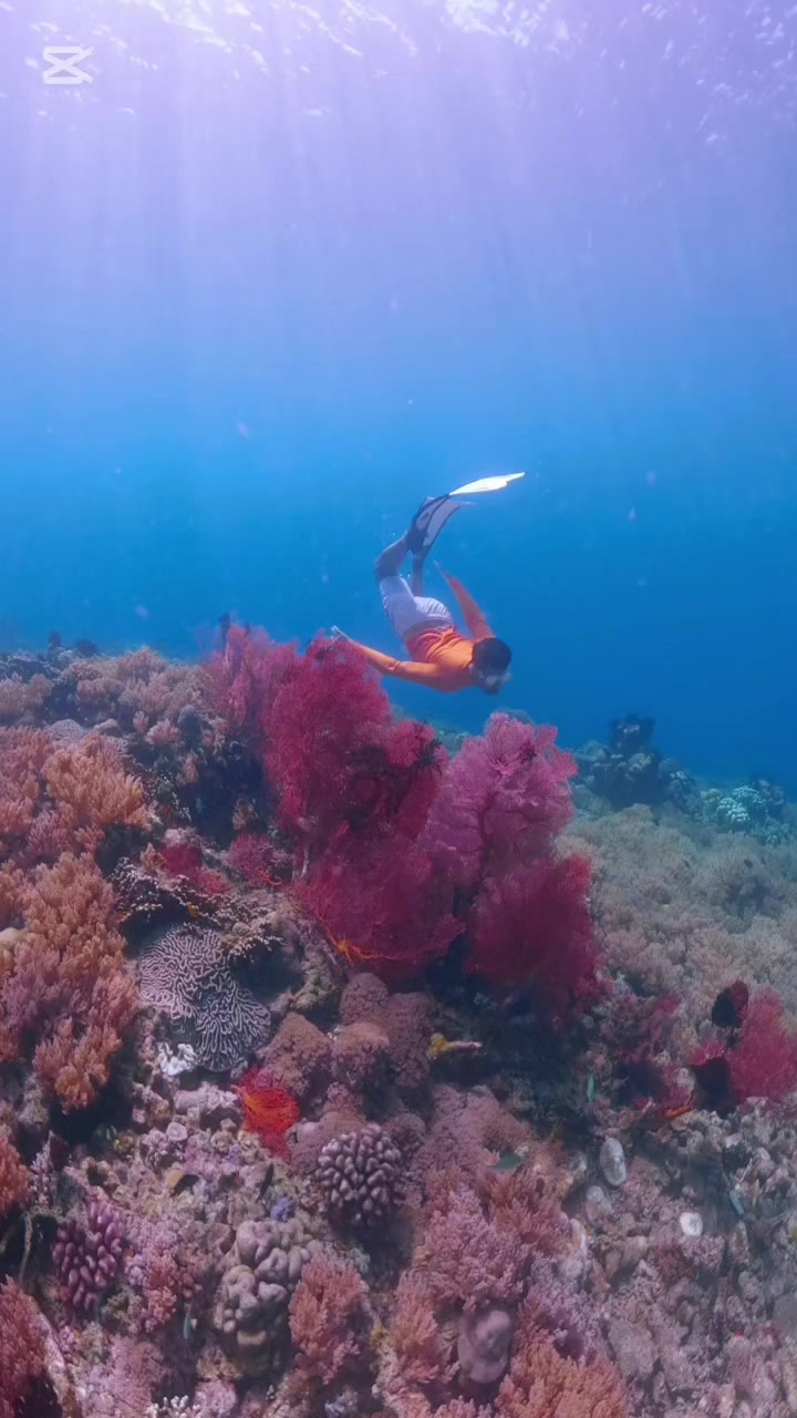 @Lalu Rodi Septiadi