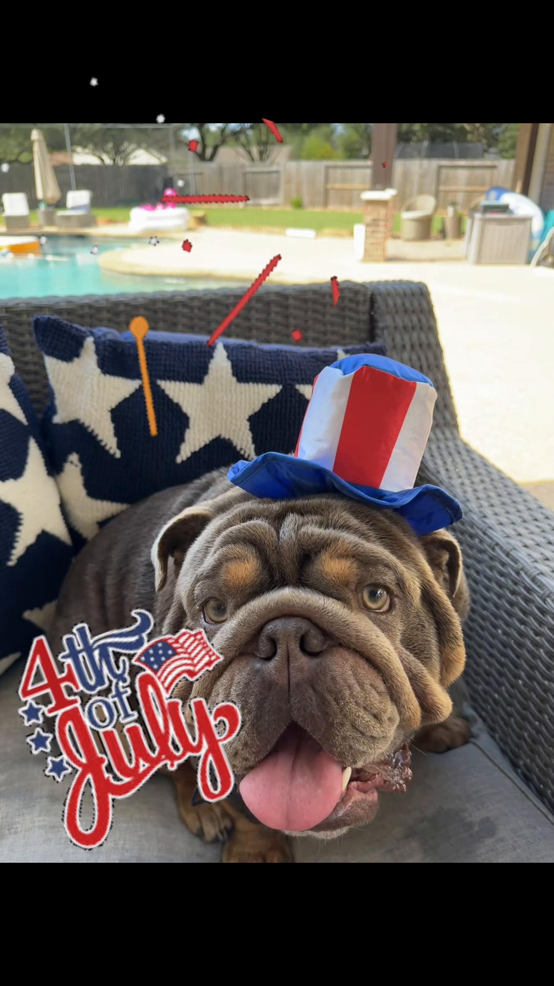 @RawlsTheBulldog