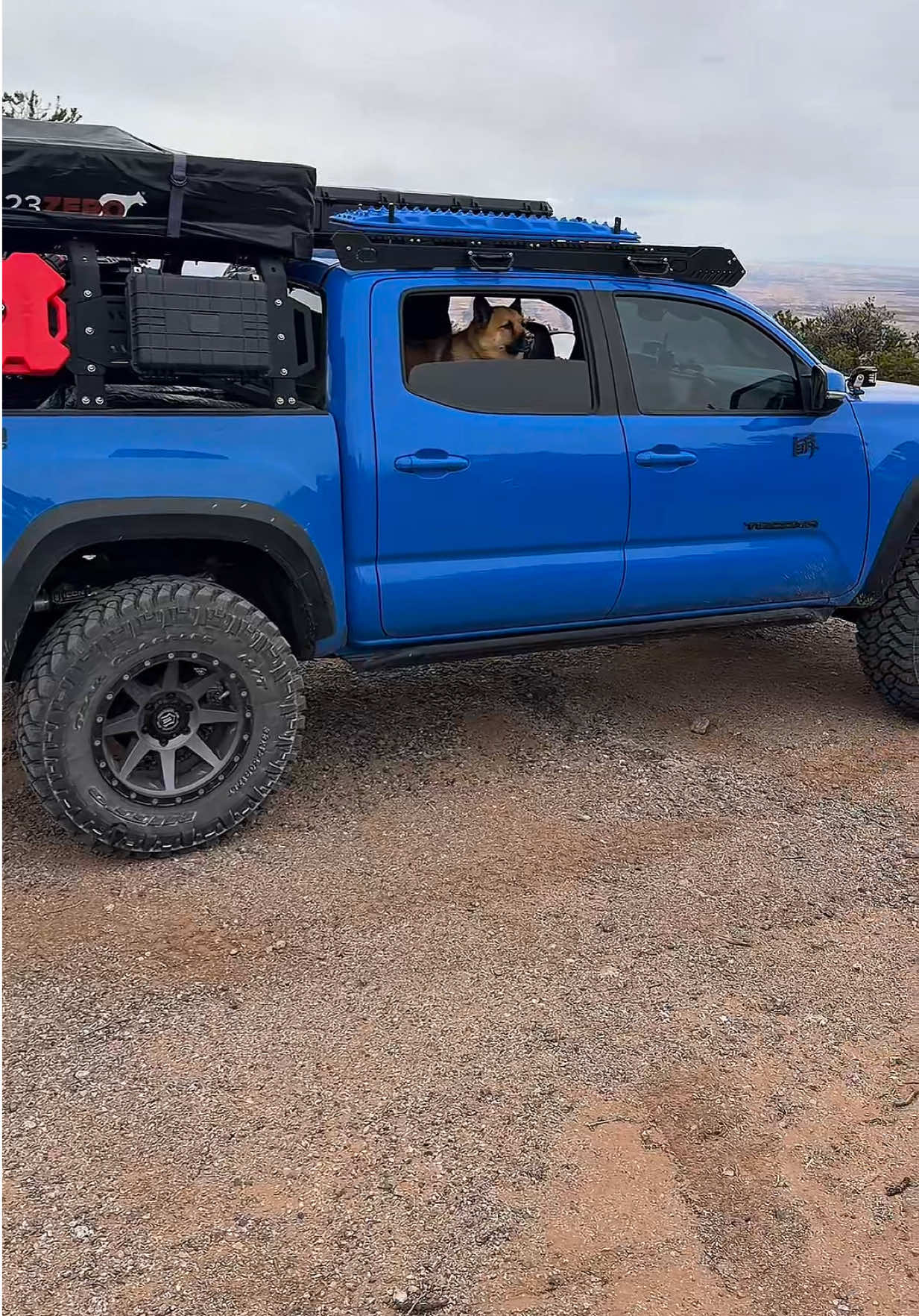 @Silverfox_yota
