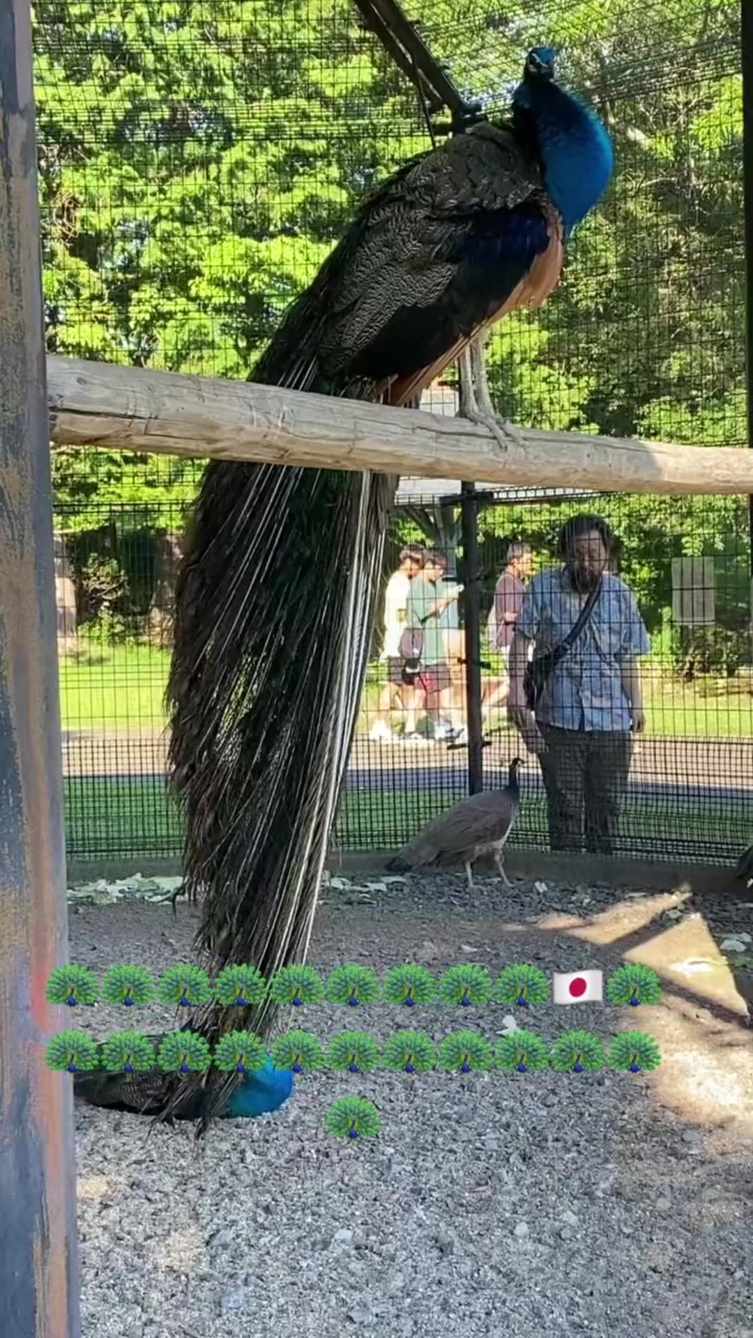 @マシ1010