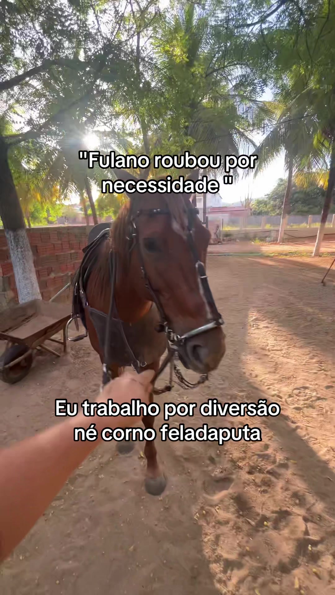 @Luiz Henrique