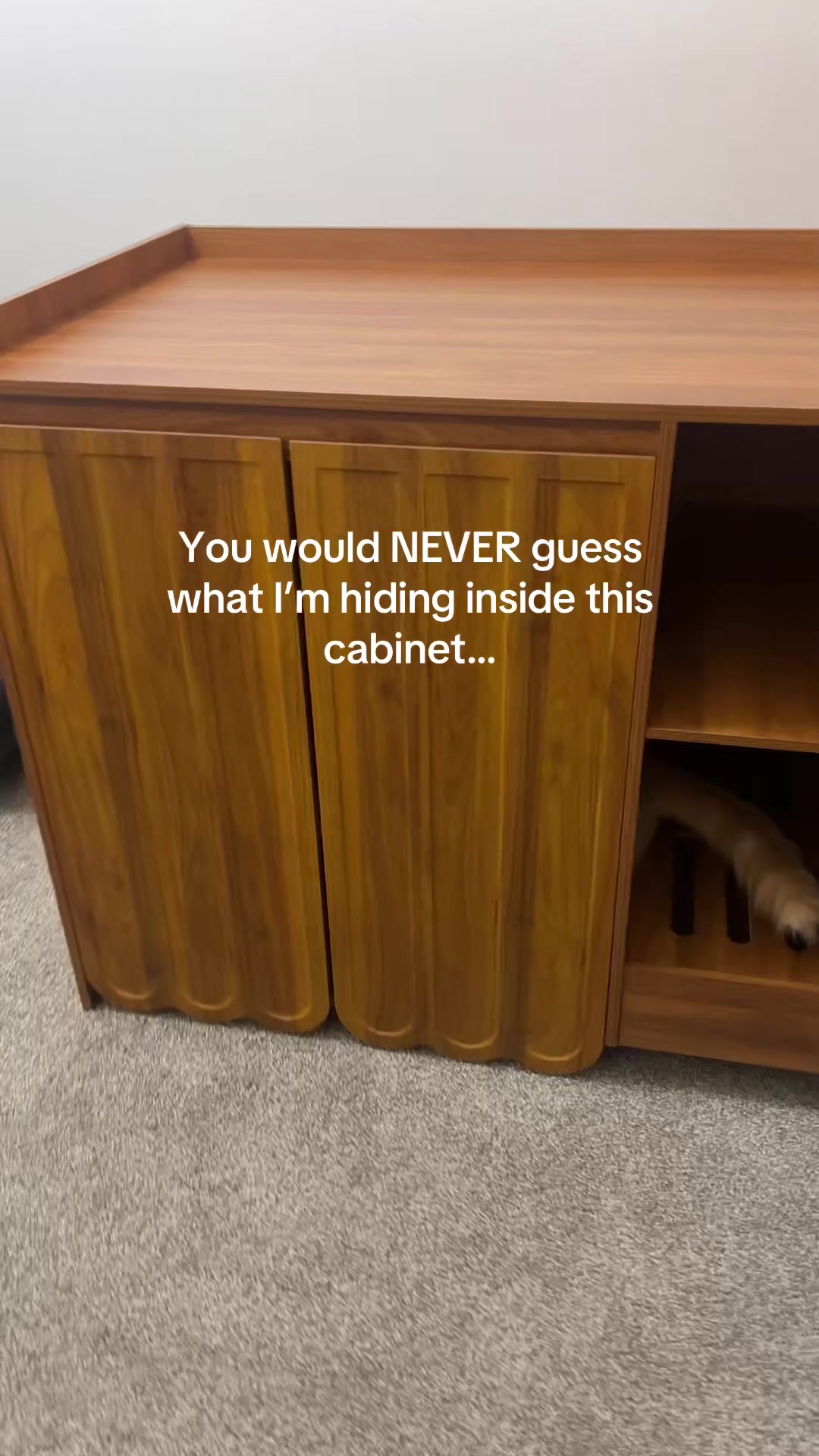 @Velvet Paws