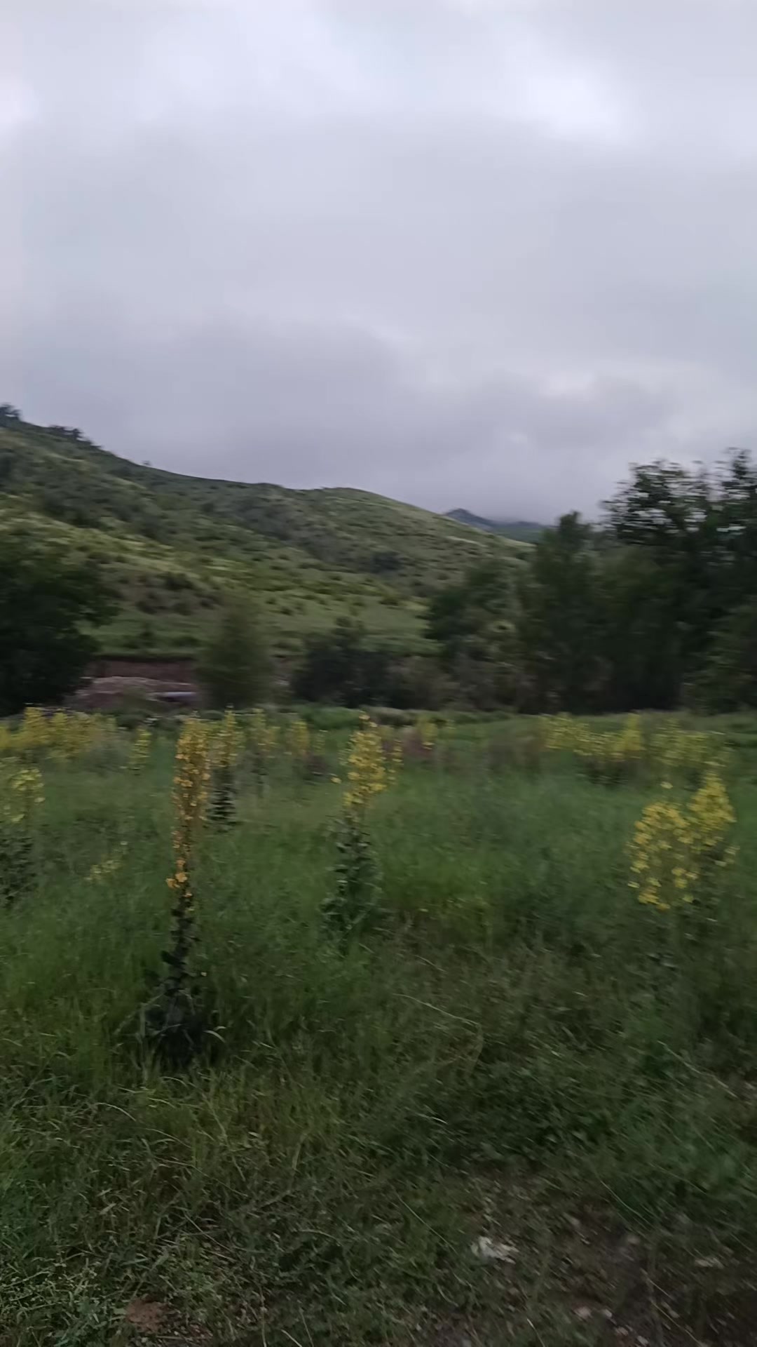 @ismayılov 18.32