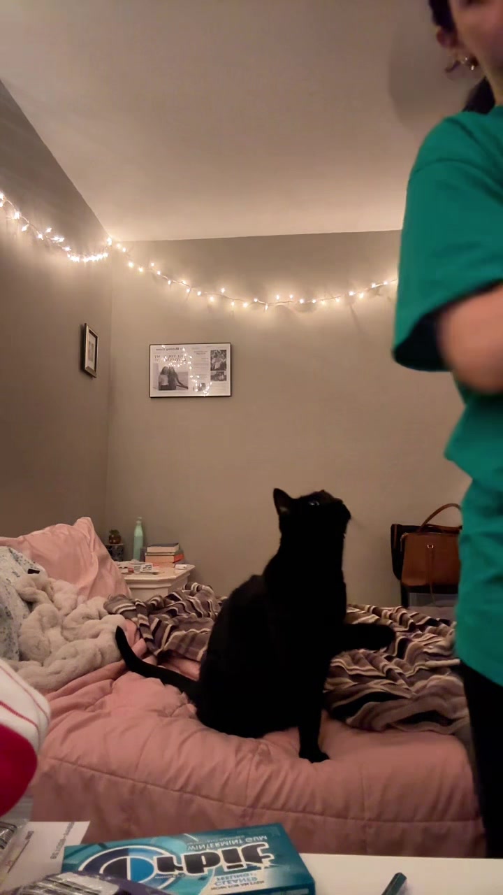 @kt0mac