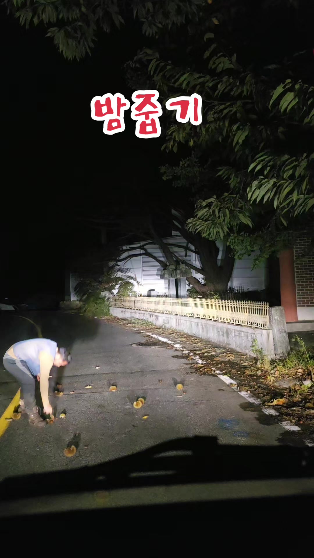 @나는 자연인이다 ~🤪