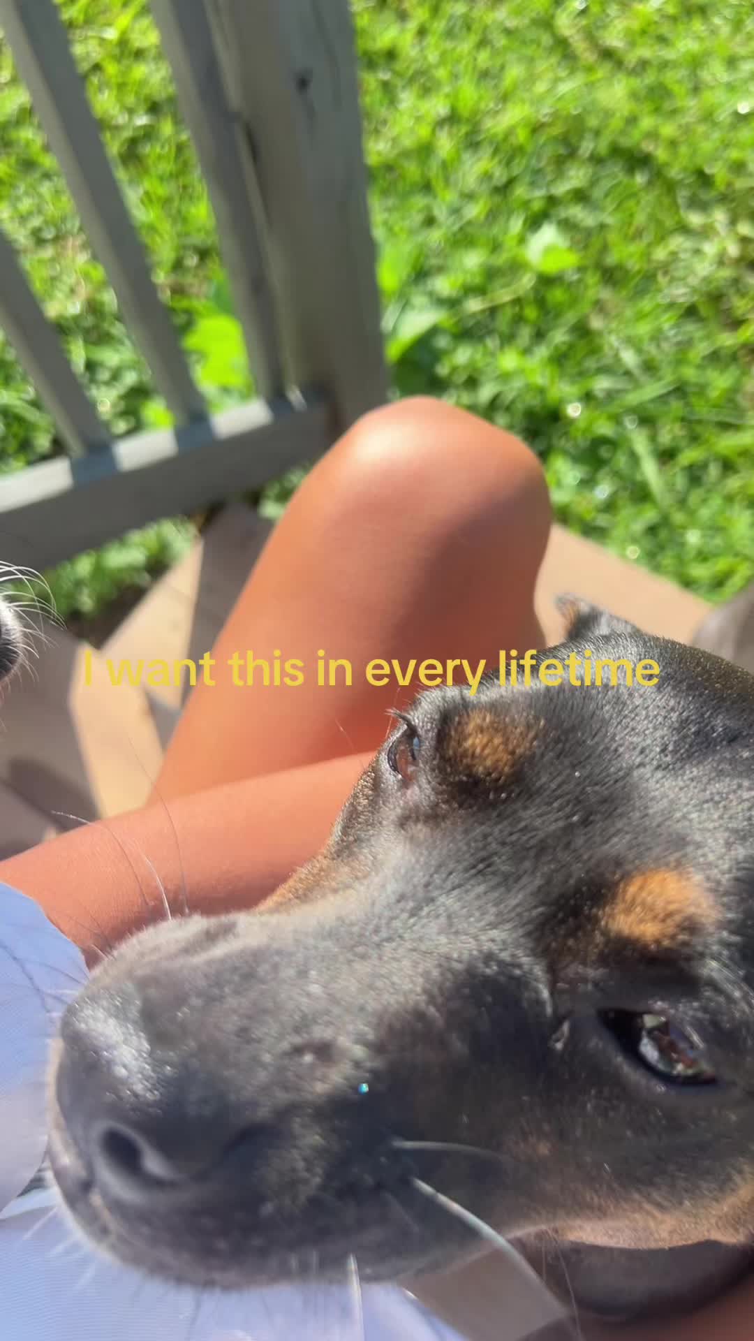 @xevx