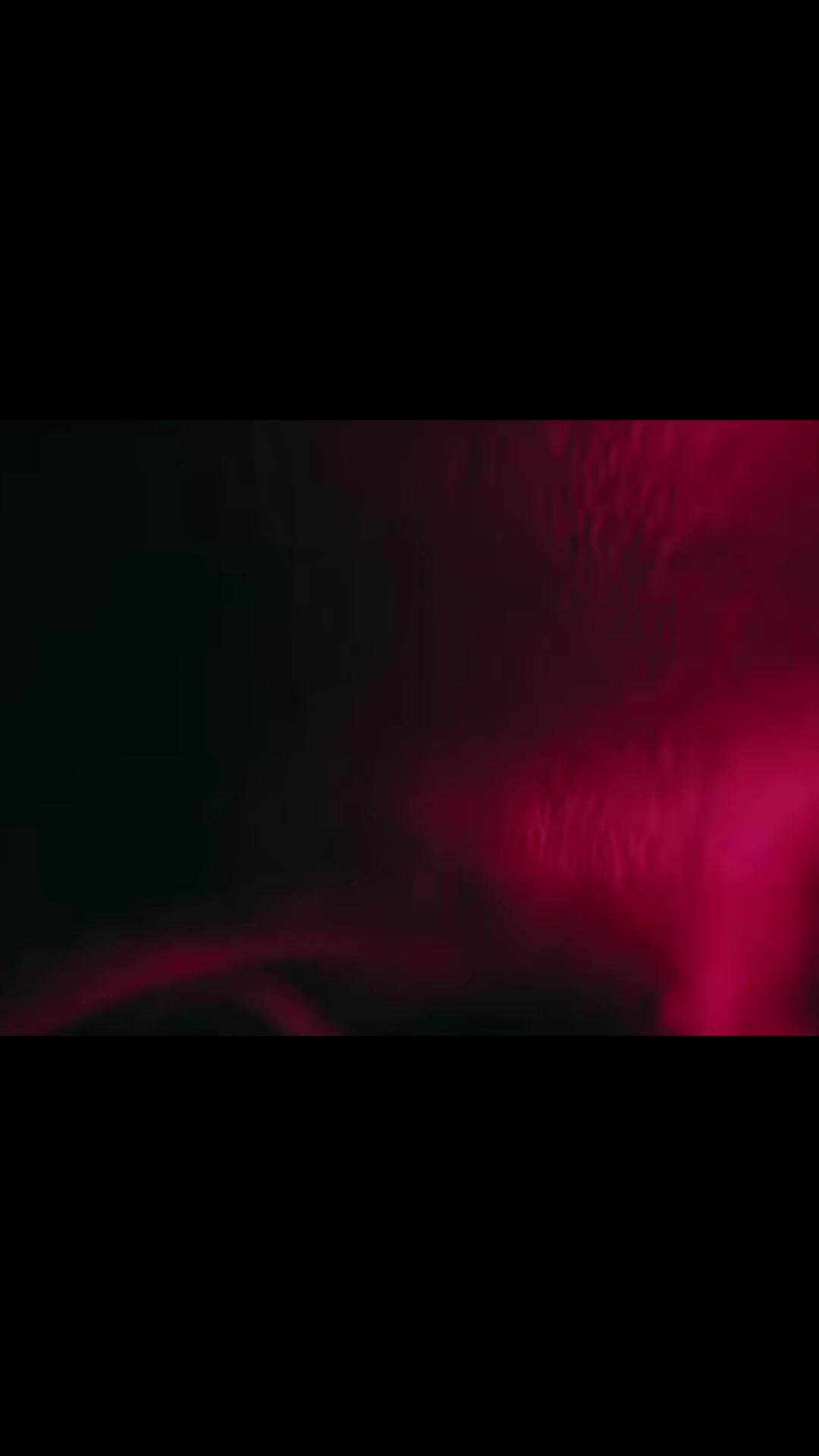 @rerunvanpelt_
