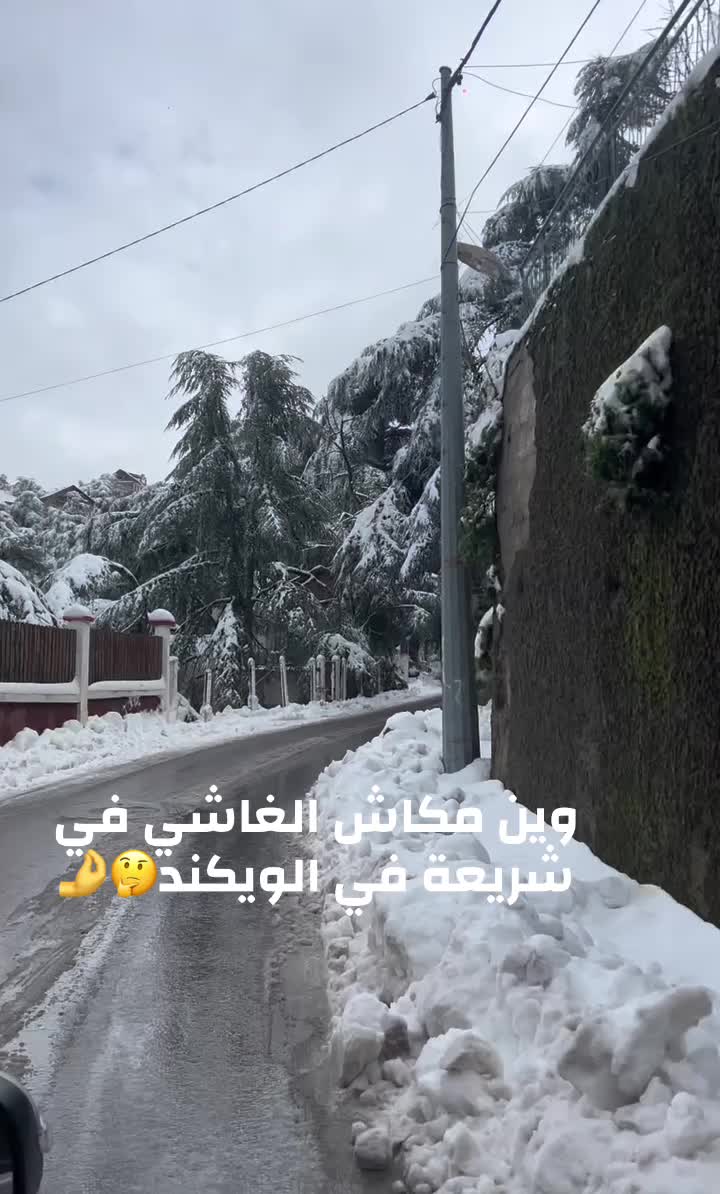 @James Bedjaoui