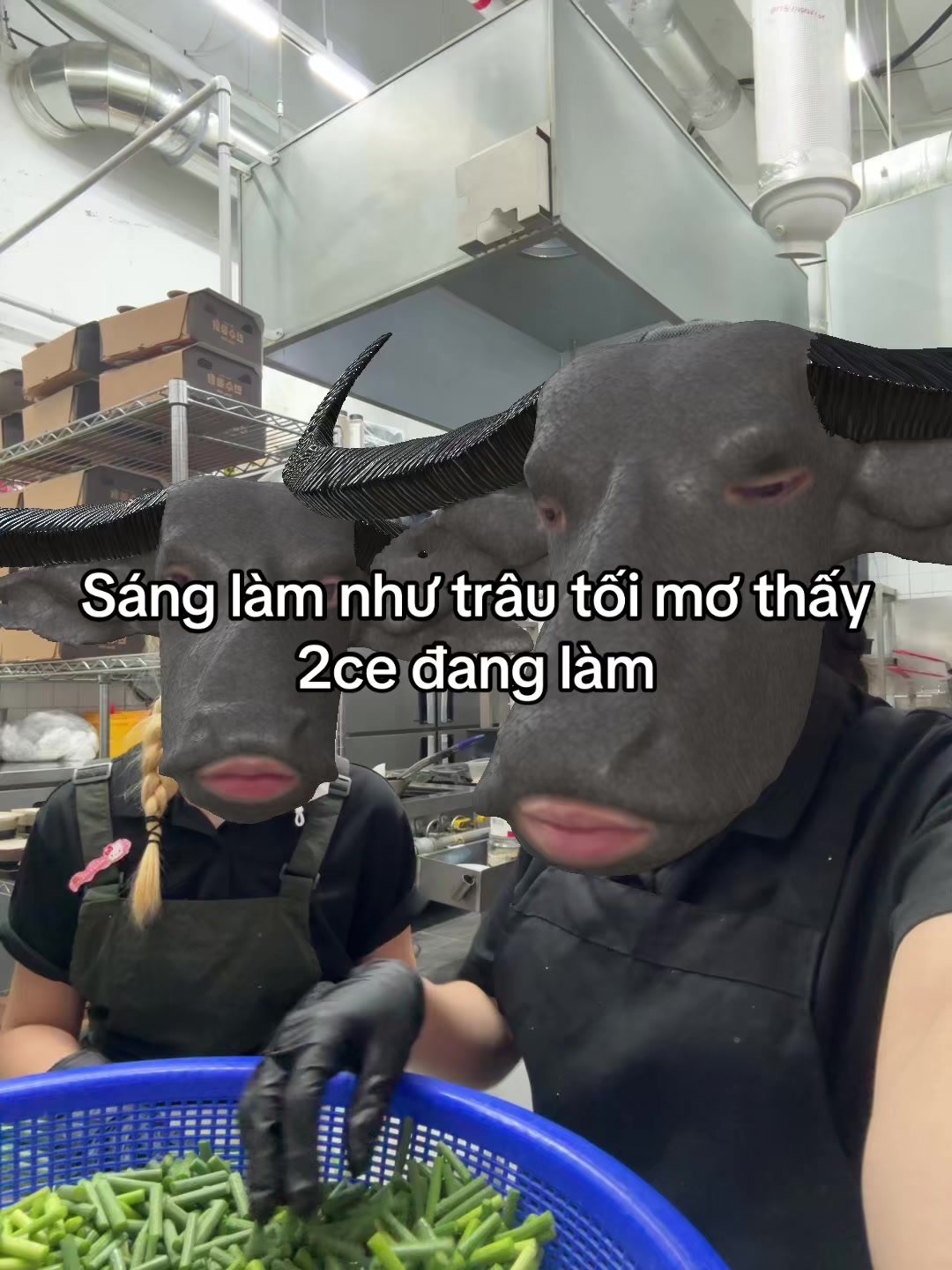 @T_niey