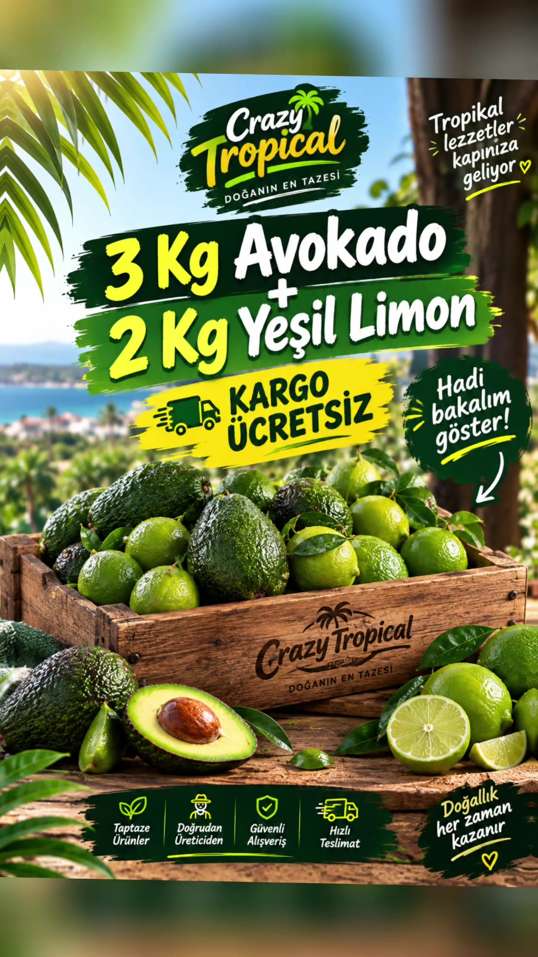 @Crayz tropikalantalya