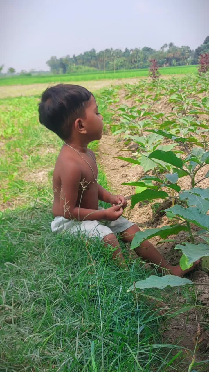 @সানজামুল ইসলাম সোয়াইব