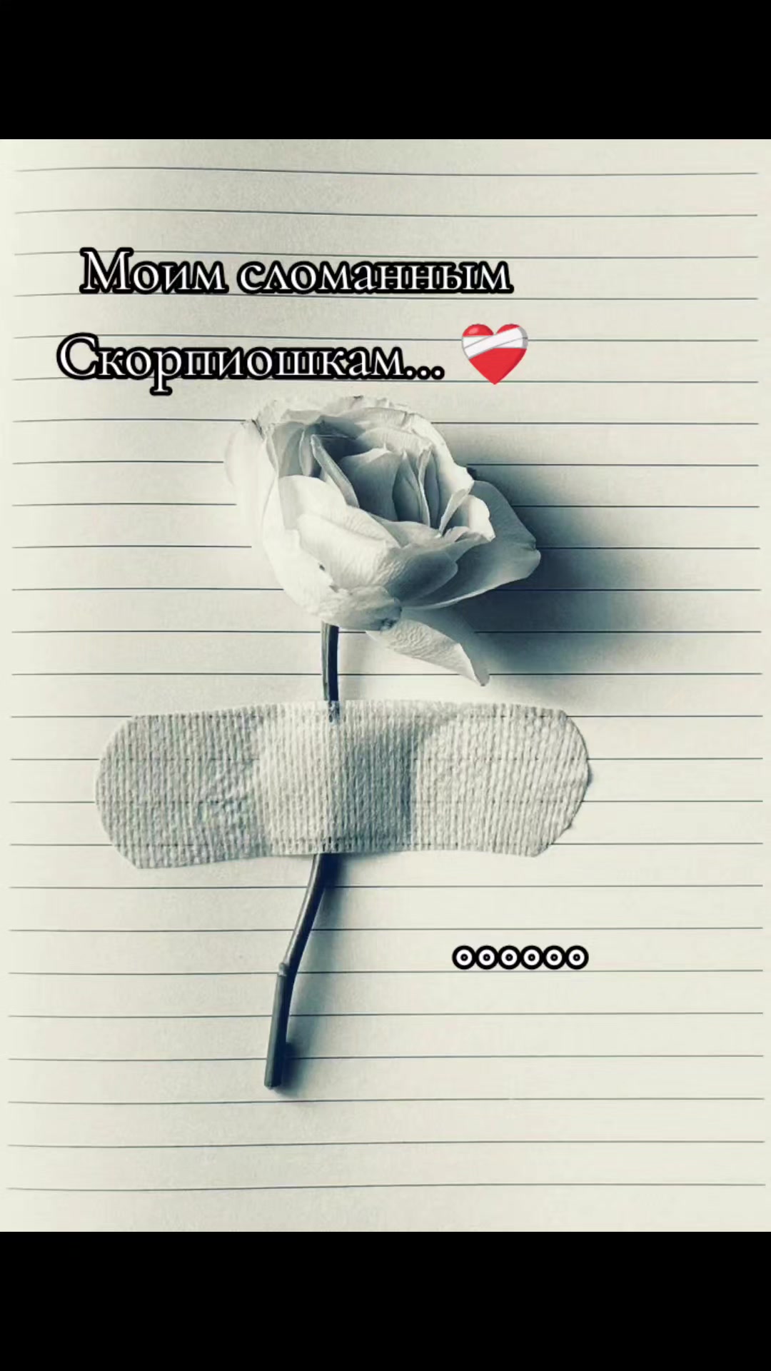 @𓆩🖤𝑮𝒍𝒂𝒛𝒂𝒔𝒕𝒊𝒌♏︎🇺🇦𓆪