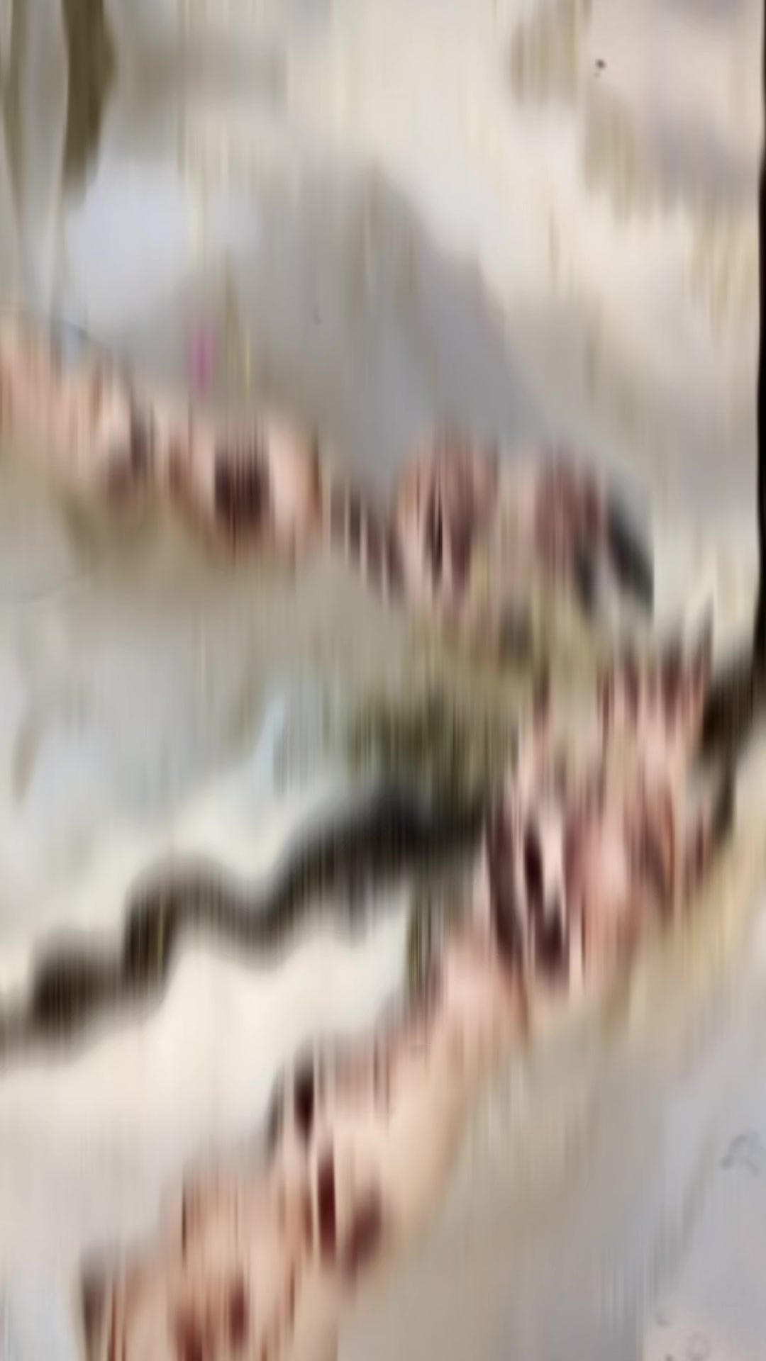 @_ʀᴏʏᴀ_🦅