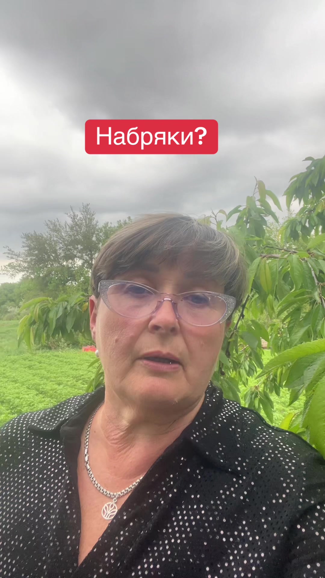 @Тетяна Дяченко