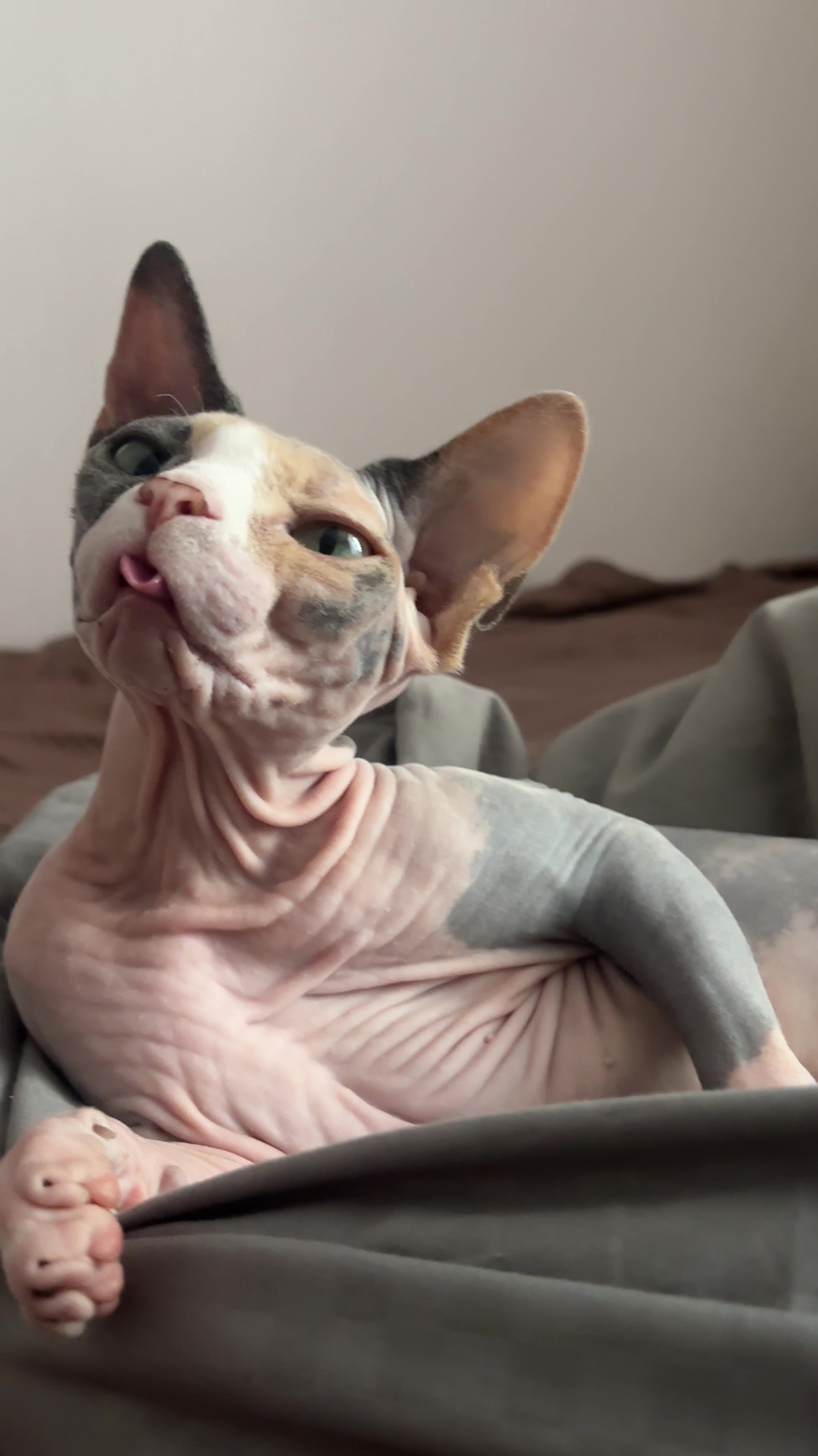 @r_0_m_A_n_0_v_A