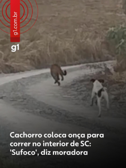 @g1