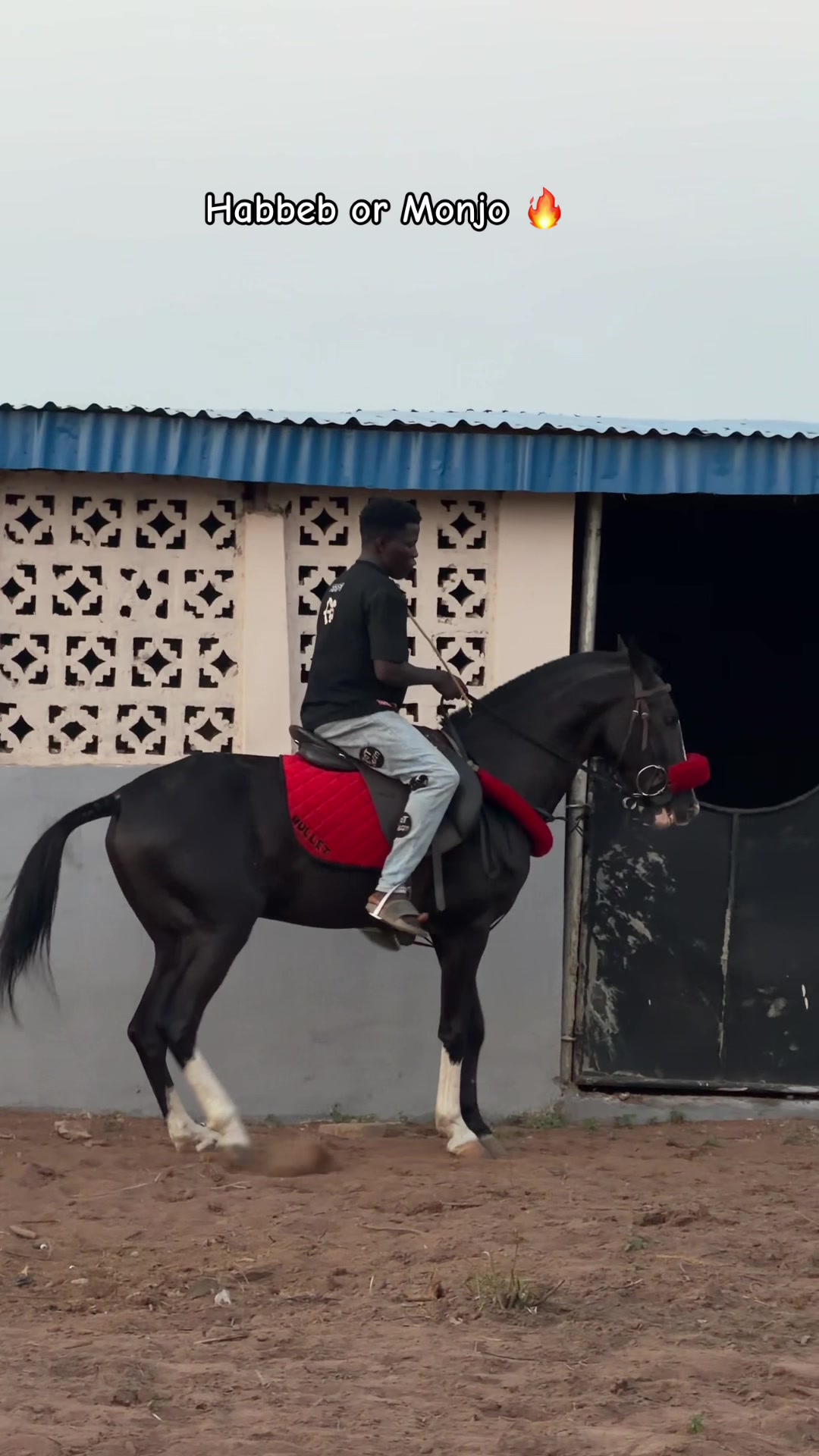 @GIWA🐴EQUESTRIAN🐎♥️WORLDWIDE