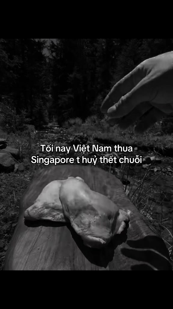 @Phe Tâm Trạng🫀