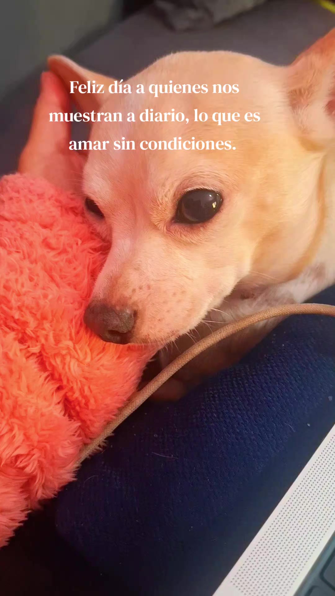@L O R E N A