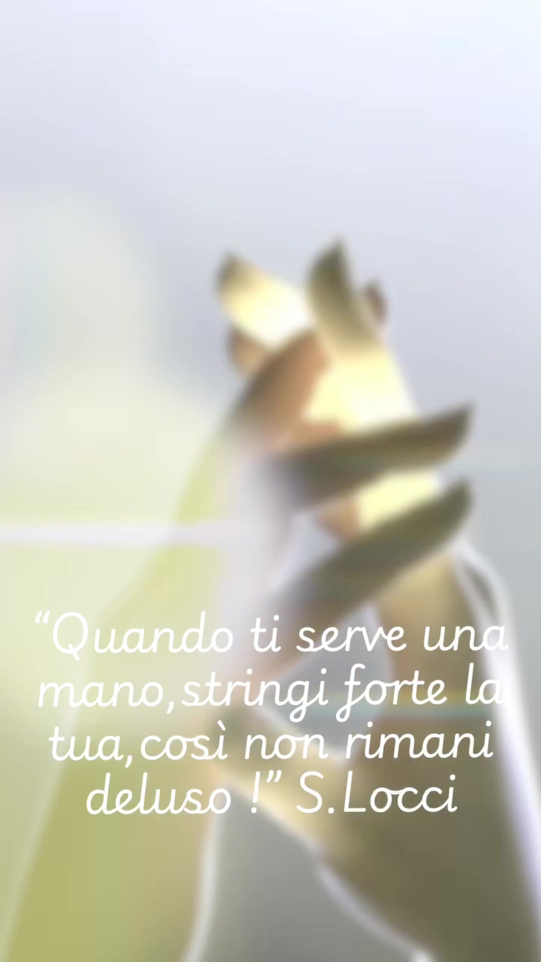 @⭐️MIA⭐️
