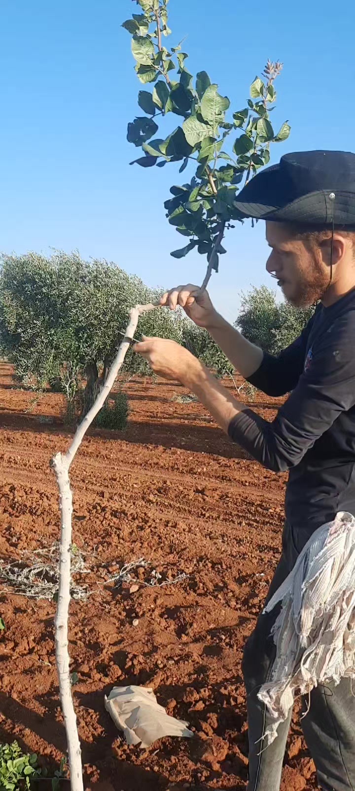 @Khaled.doba