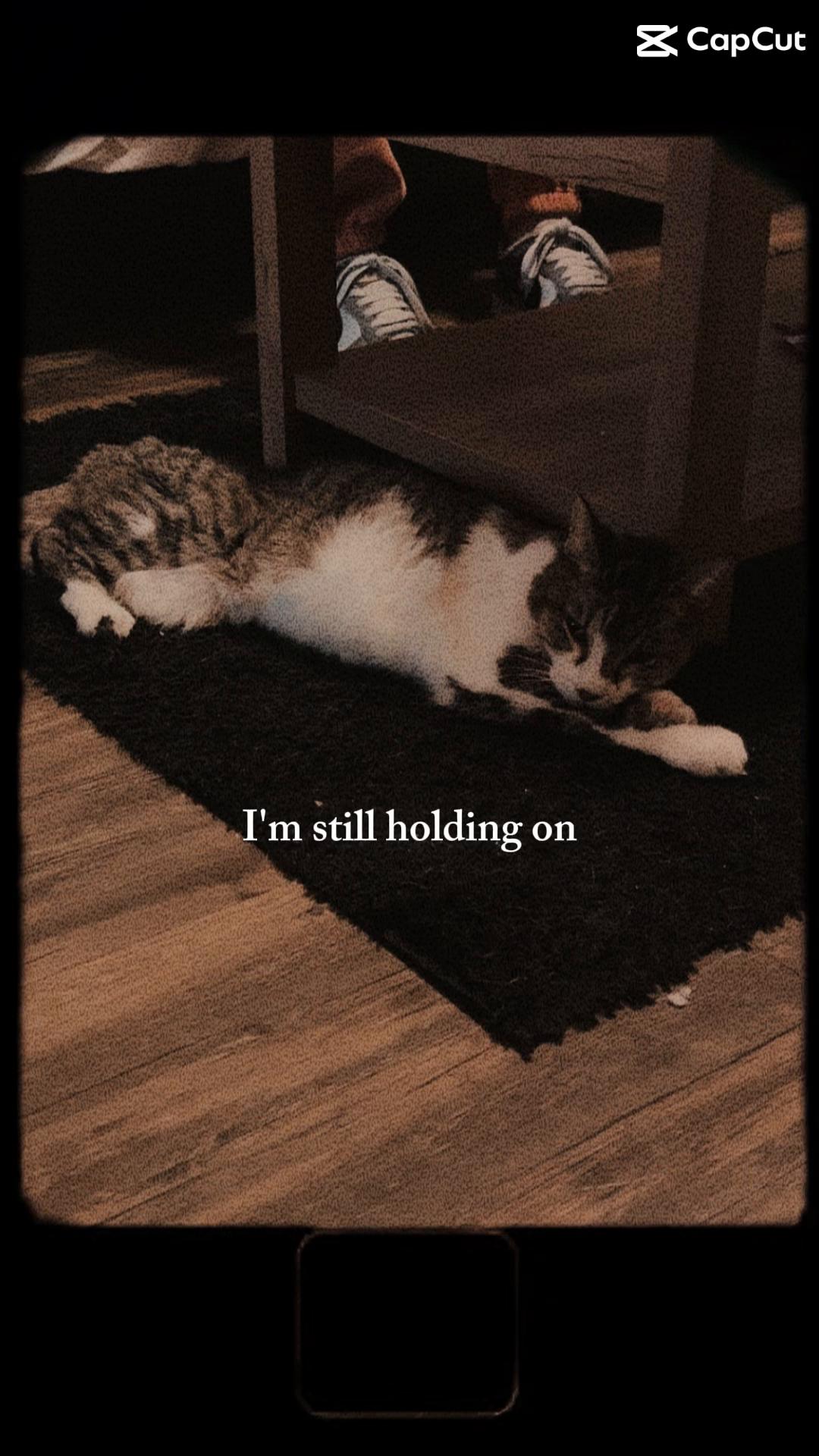 @Margrette-murphy McConnell