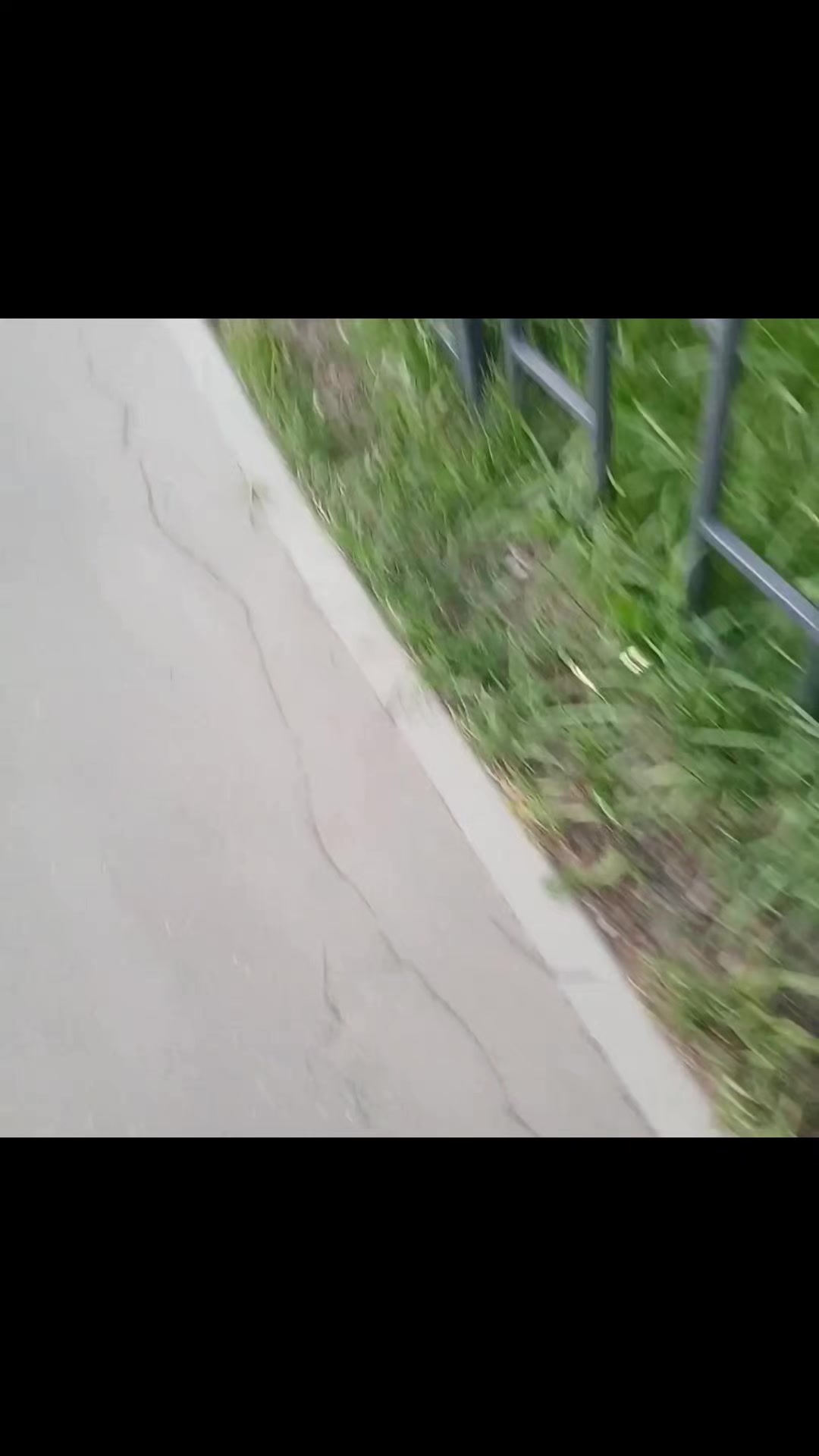 @кабачковый оладушек