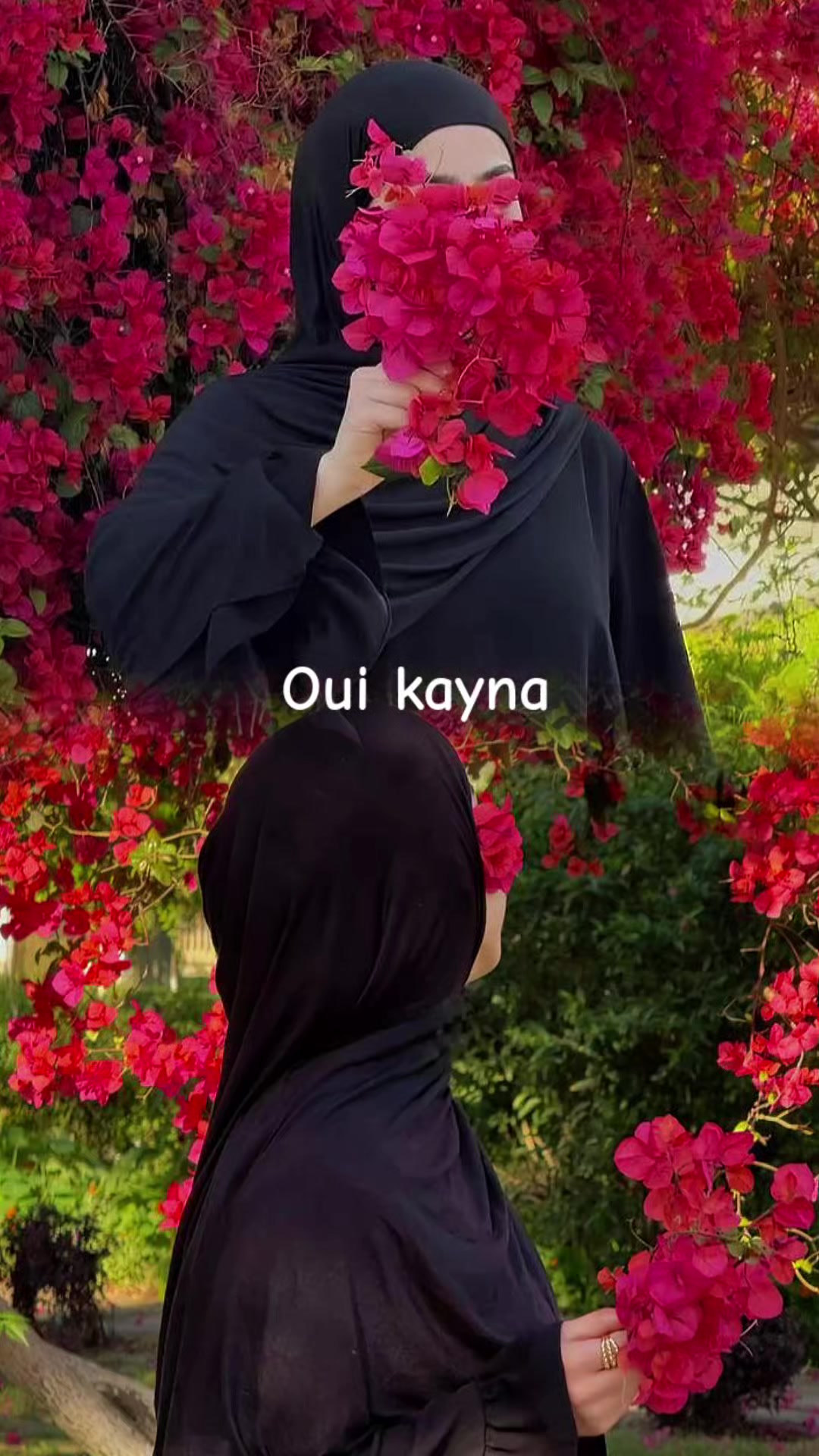 @~♕مـــᬼخـ🦋ـتـلفـهہ✬🖤