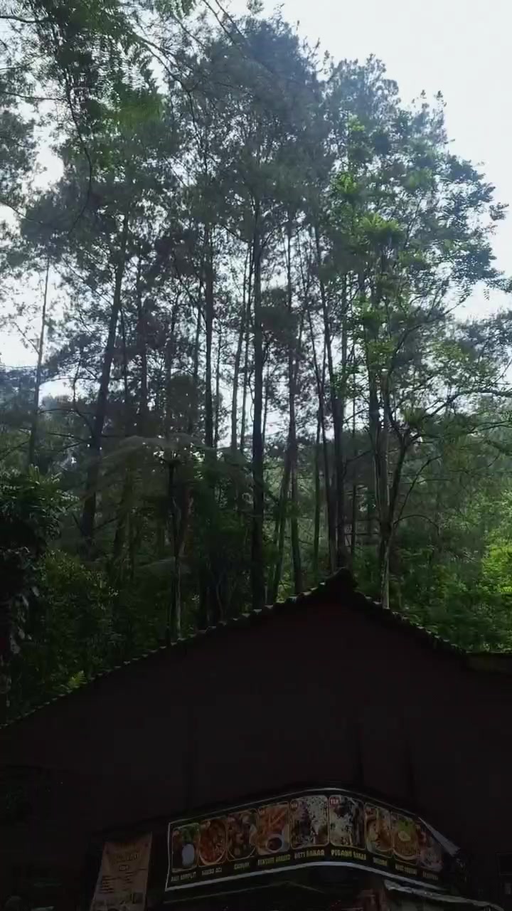 @anggiii