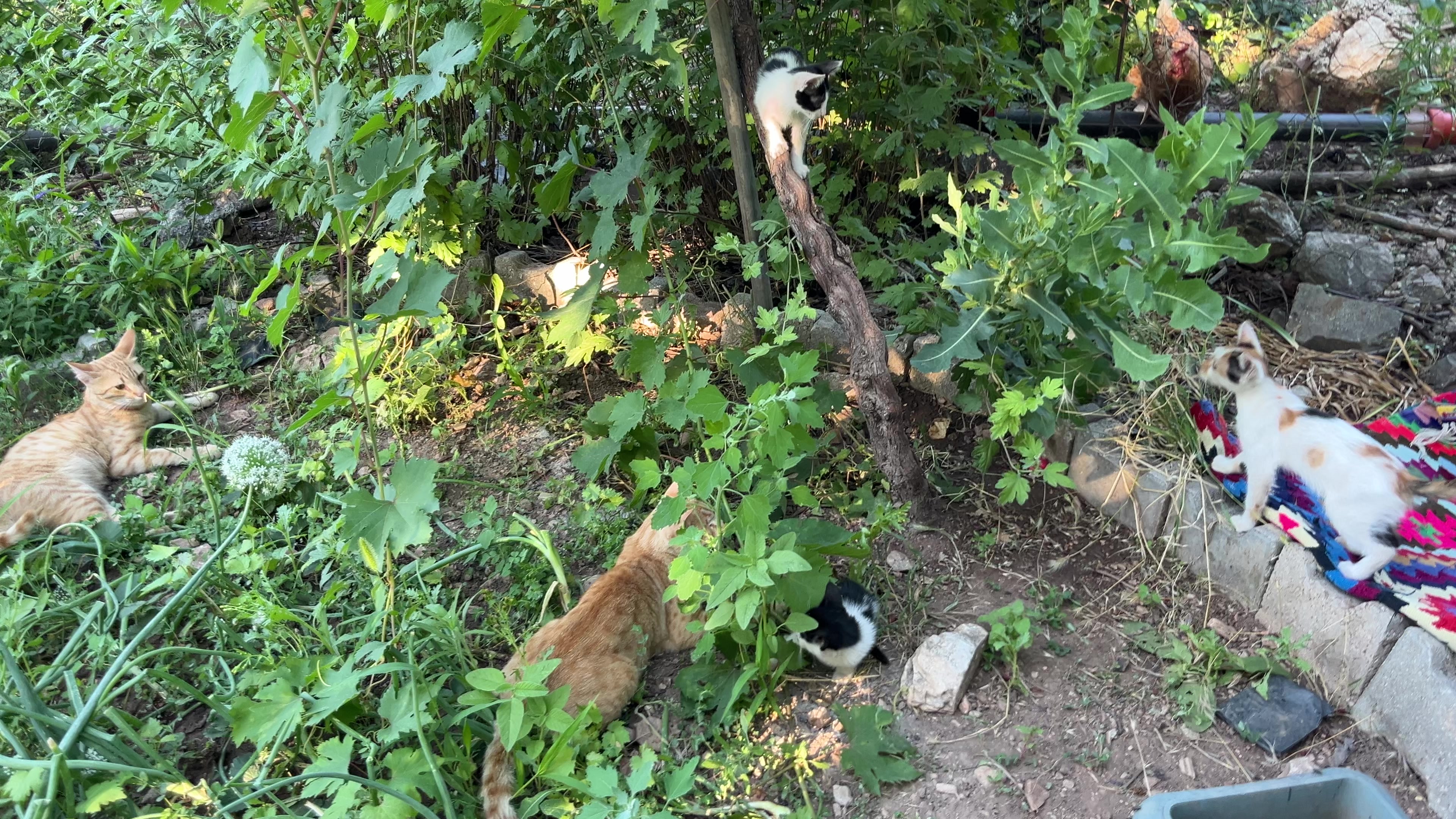 @꩜ï 🌱