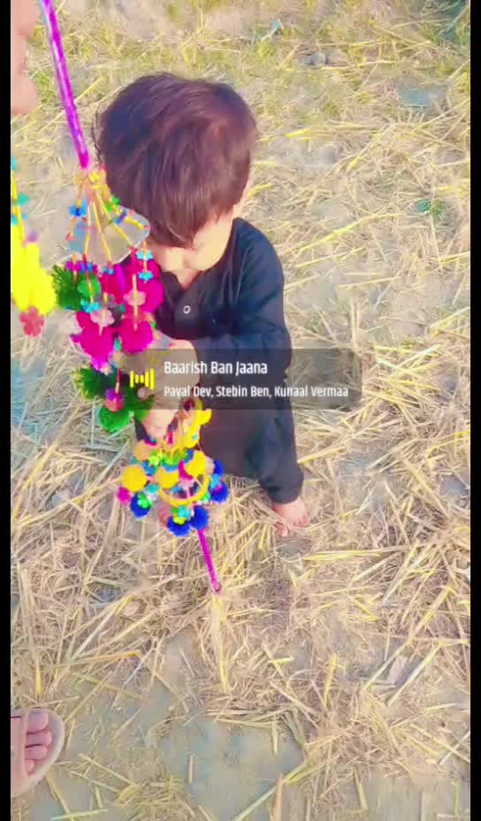 @Qaisar joyia 804