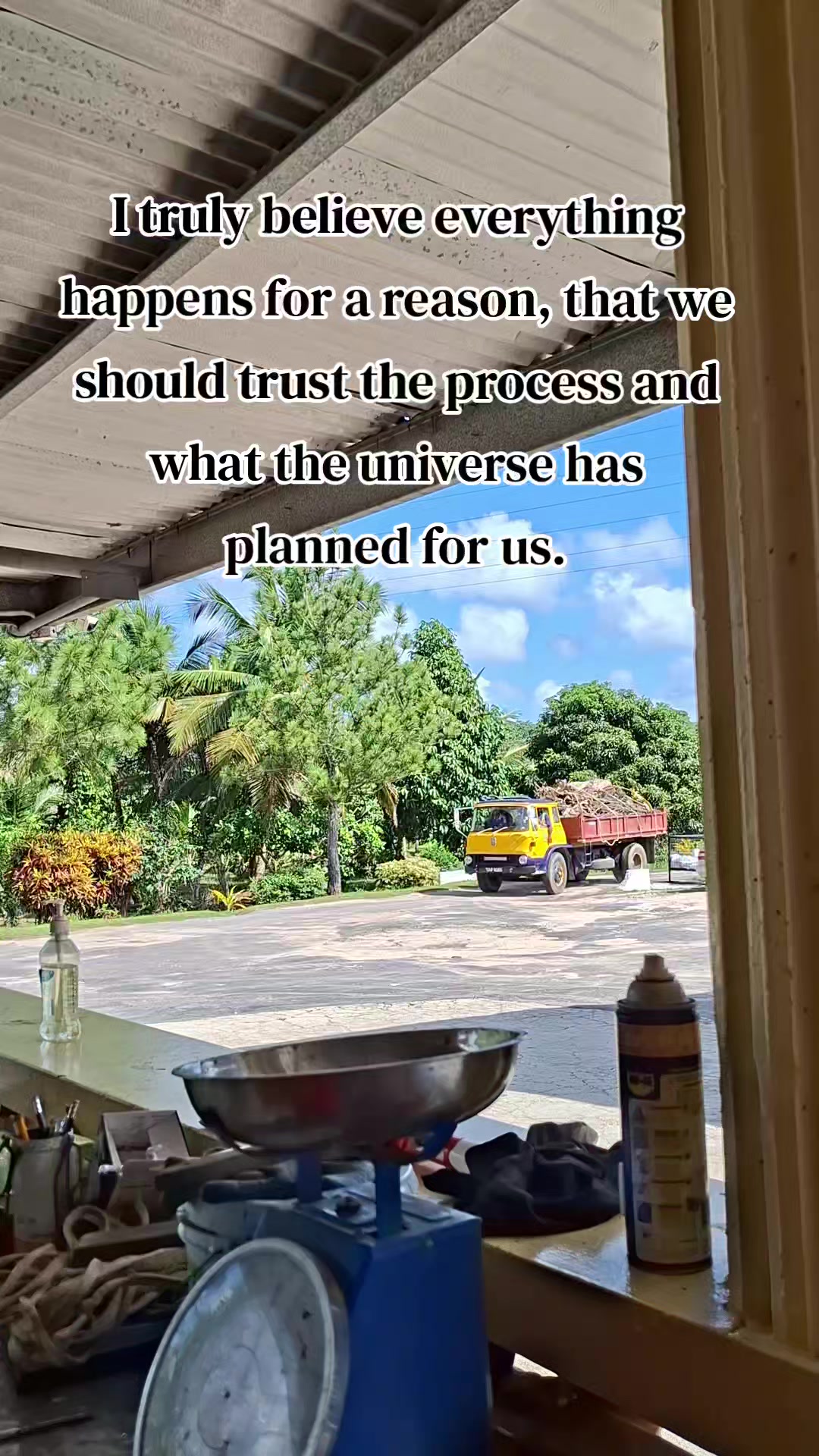 @Ezekiel Francis