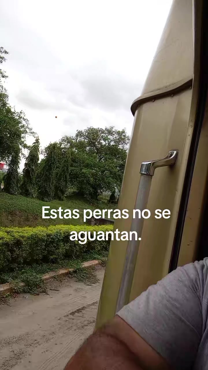 @Alex Erazo