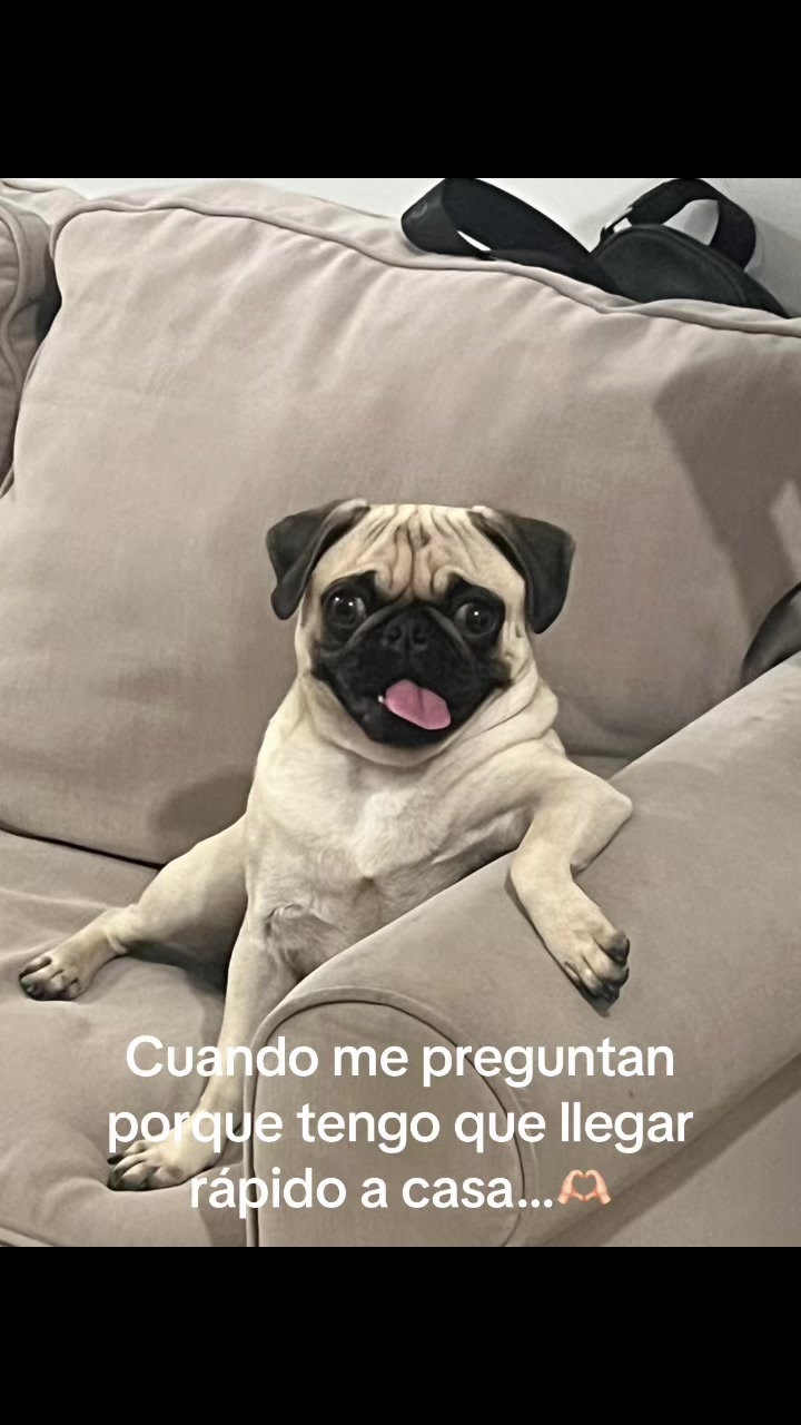 @Adamary Alvarez