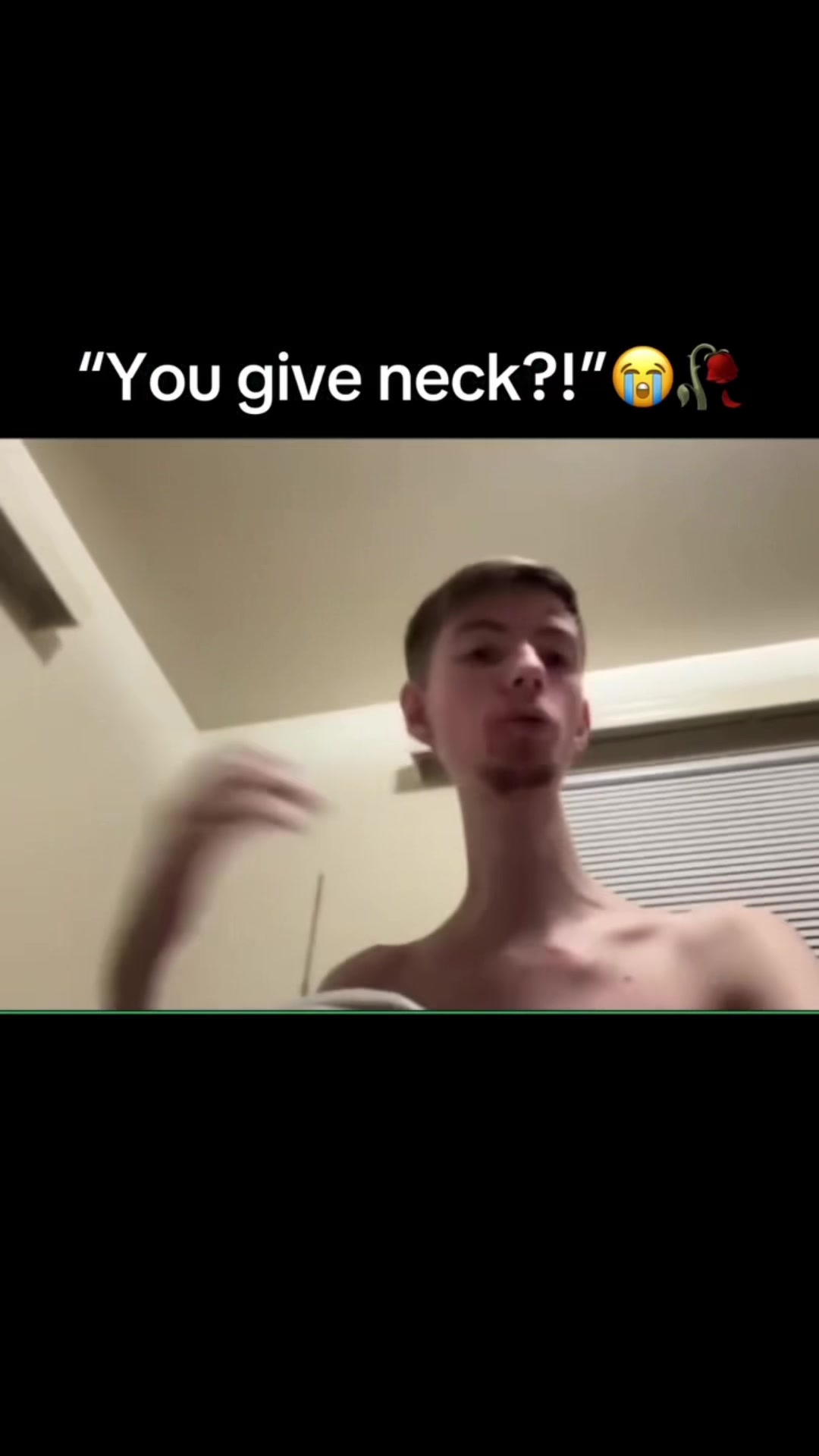 @Daddy Long Neck