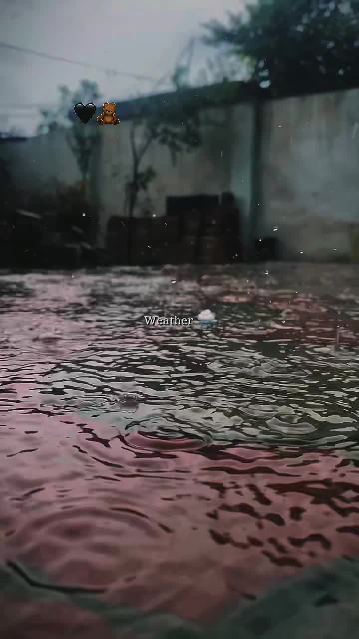 @*ꍩꁲꌚꋊꁲꂑꋊ🍂