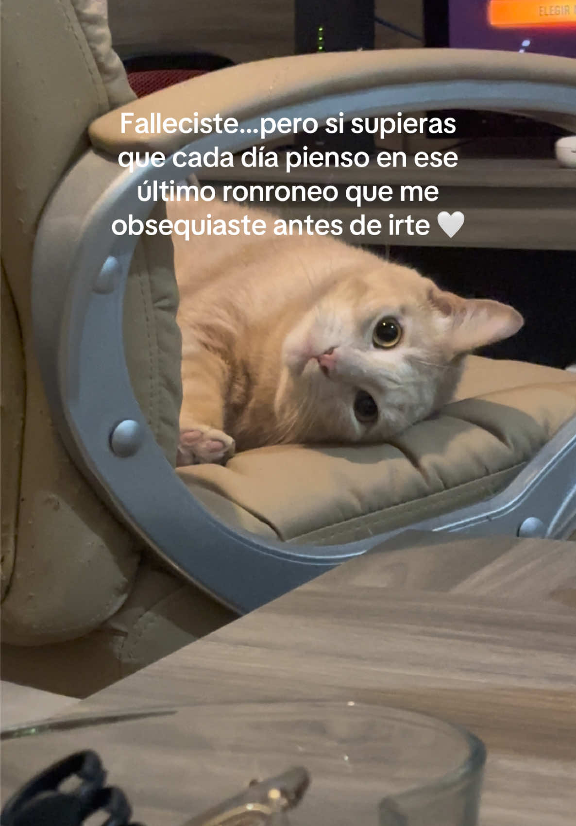 @Soy_Lumpi