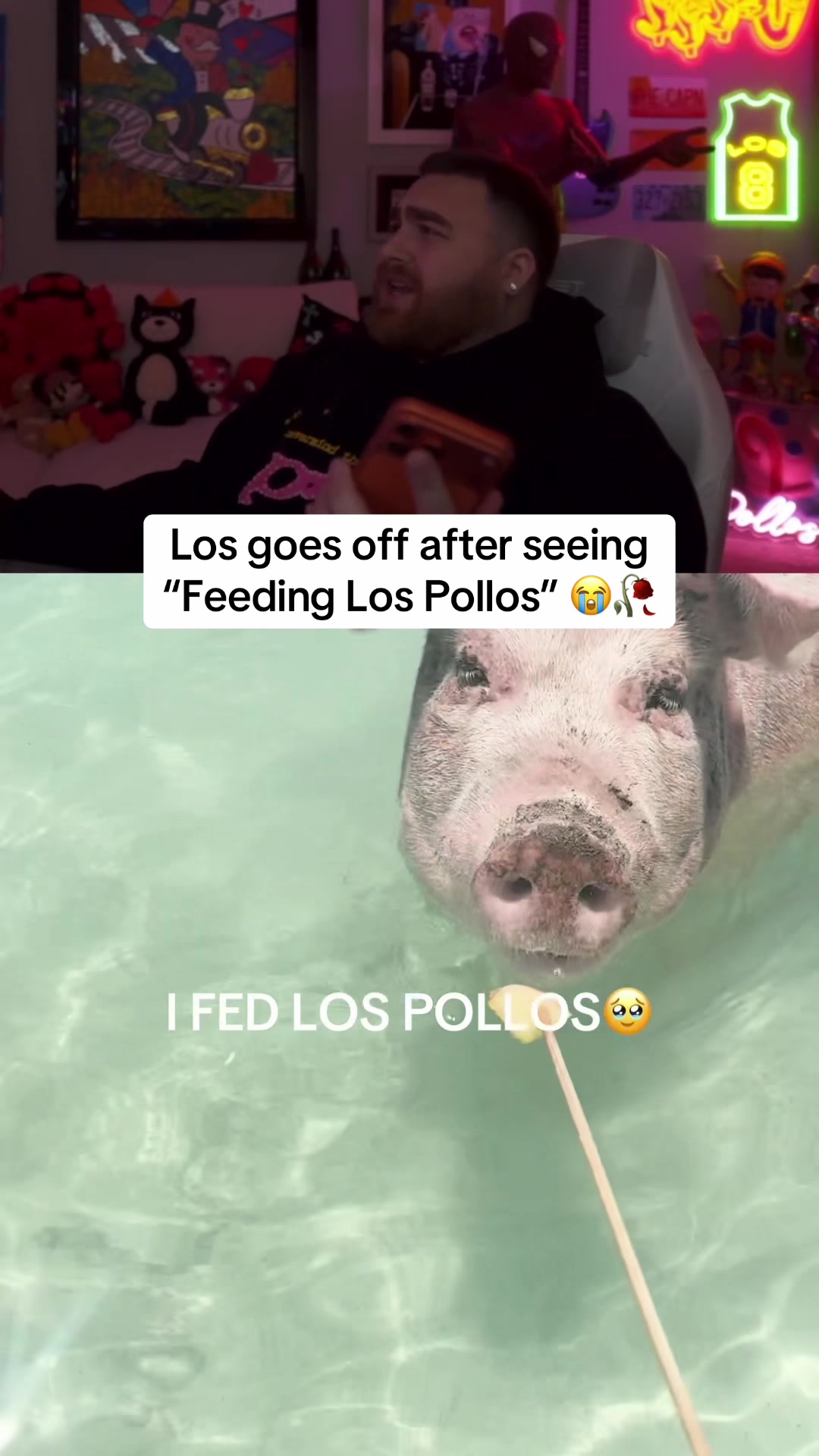 @Los Pollos Clipped