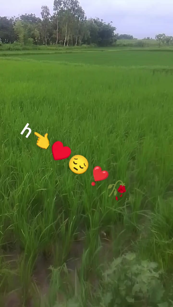 @Hari paswan