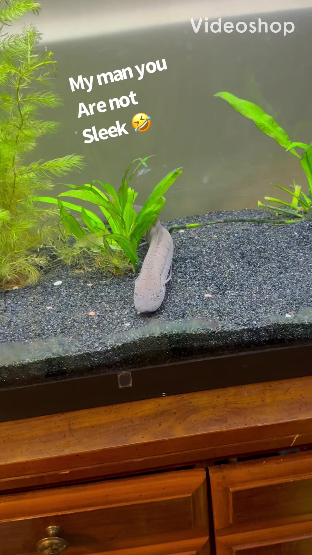 @fishdaddy2002