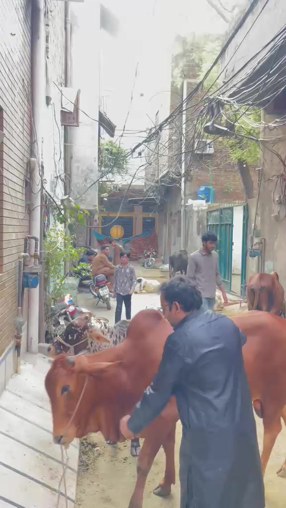 @Abbas Butt