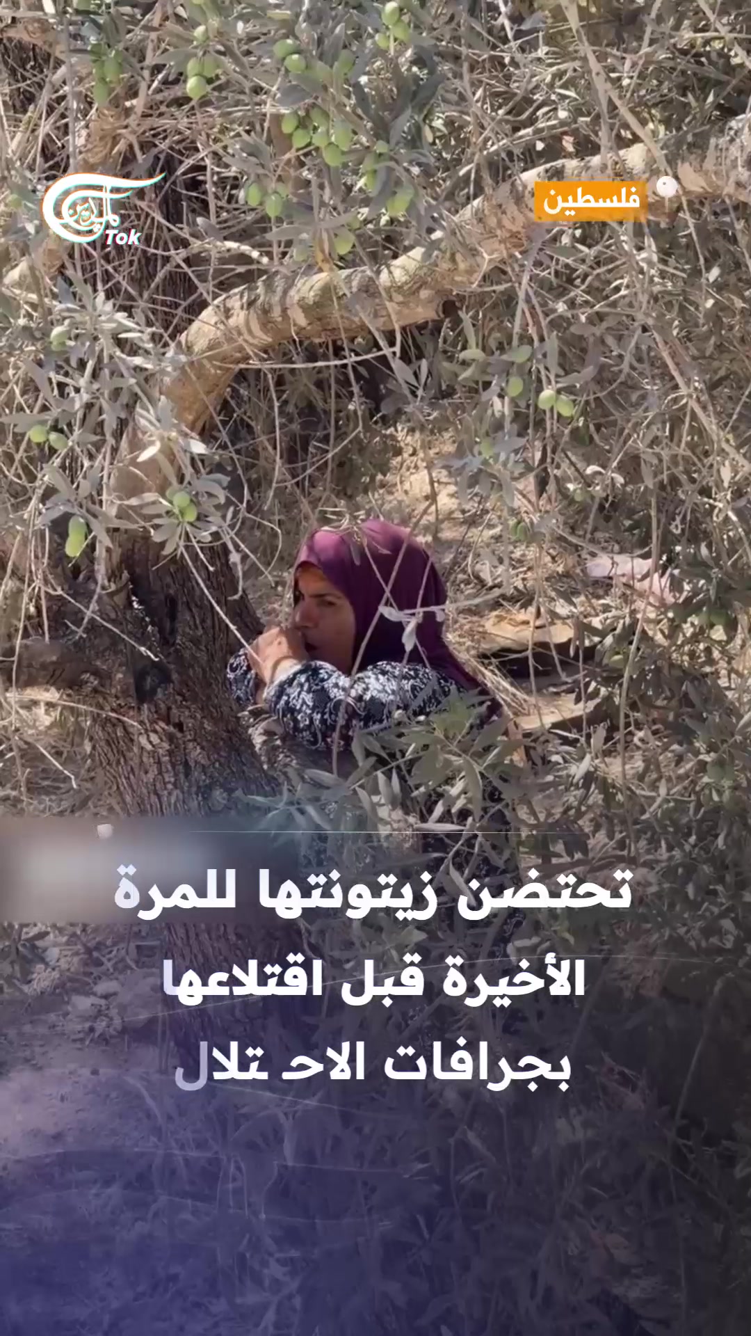 @الميادين
