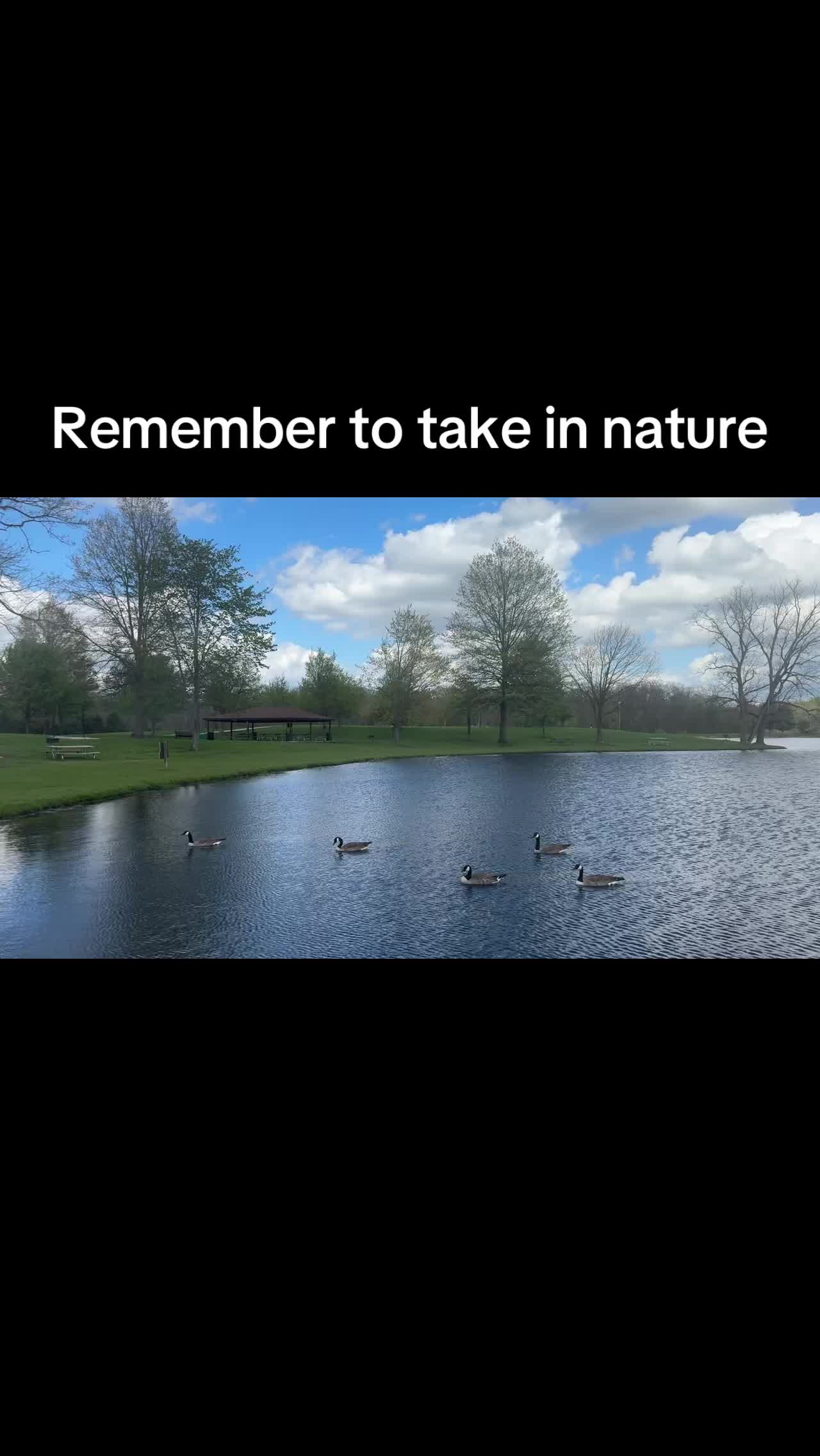 @katieinohio1