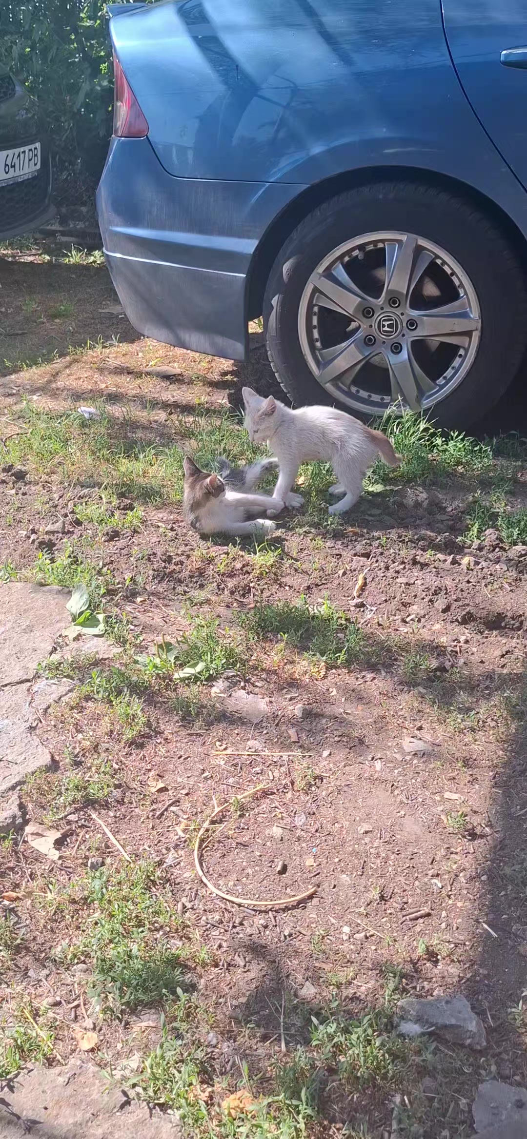 @🇺🇦Vrednayayayaya_Ole4ka