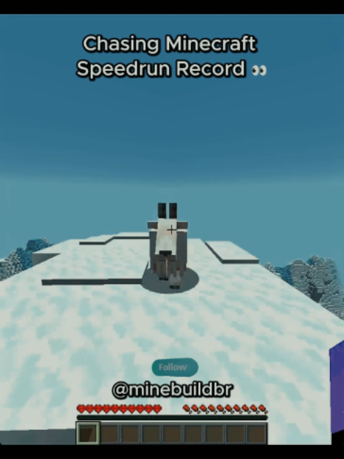 @Minecraft BR