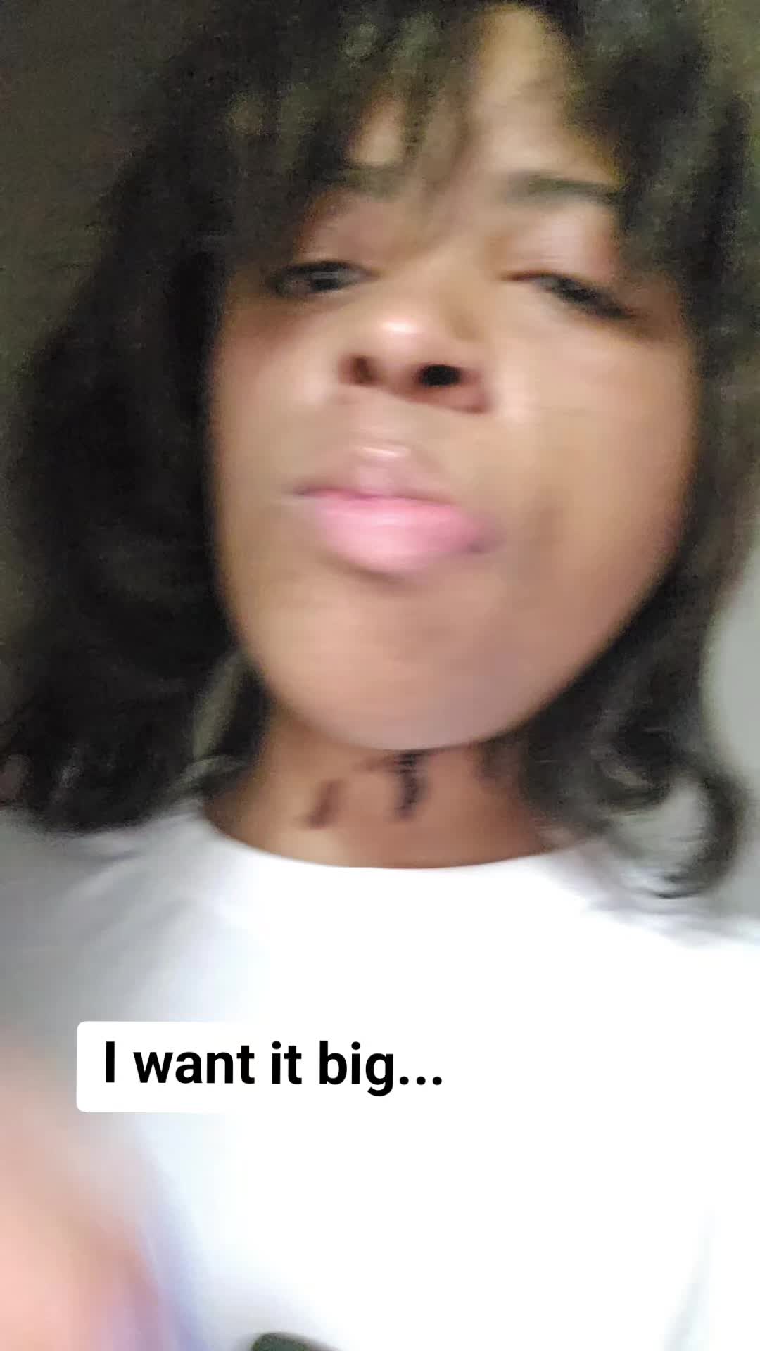 @layla3365