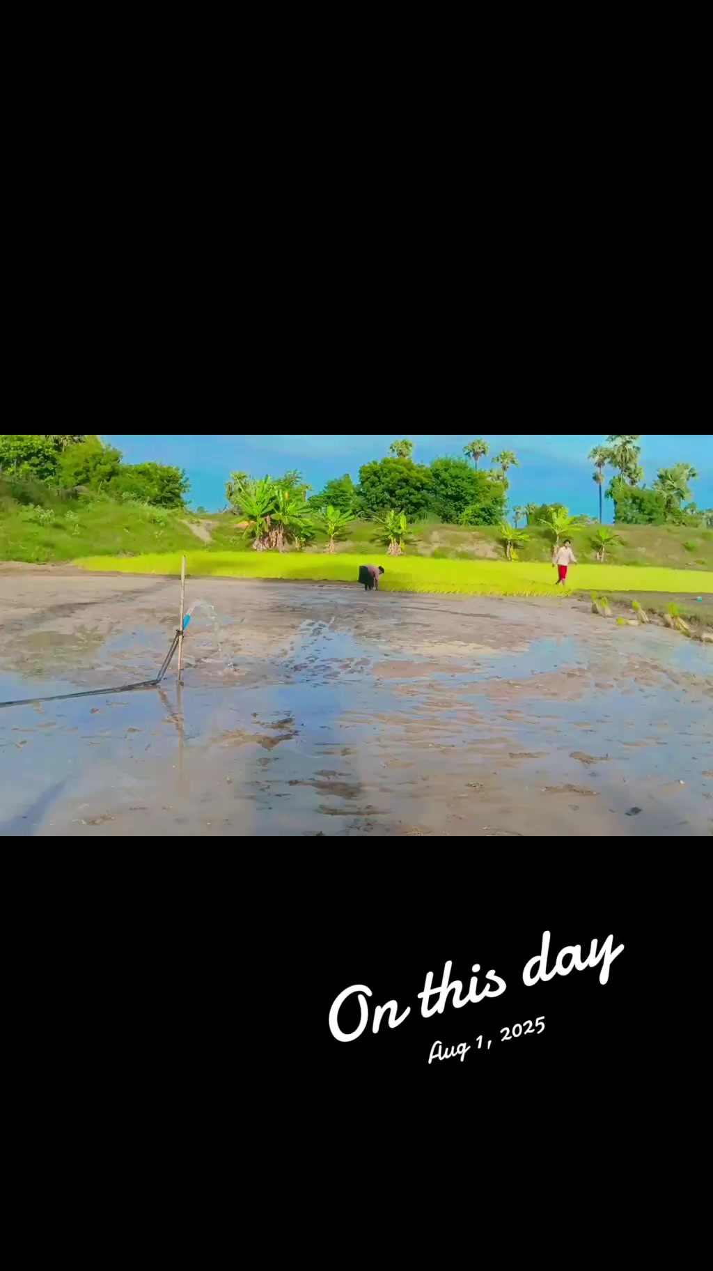 @Ko Ko Gyi