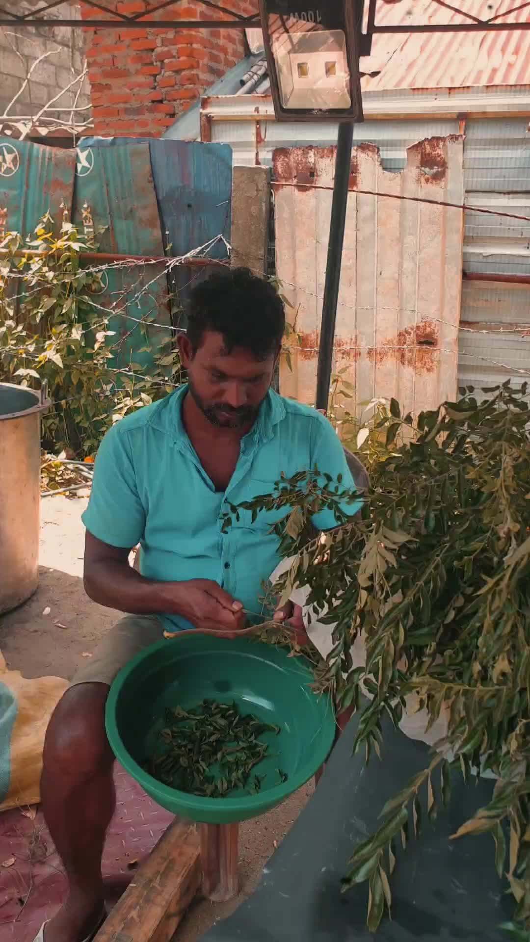 @Nimesh Weerapperuma